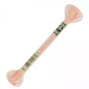 Embroidery thread DMC Mouliné Effet Lumière Light Peach (967) x8m