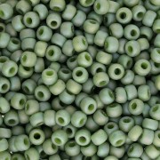 Seed beads Miyuki 8/0 4698 - Opaque Glazed Pistachio AB Mat x8g