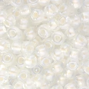 Seed beads Miyuki 6/0 4601 - Pearlized Effect White x8g