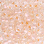 Seed beads Miyuki 6/0 4604 - Pearlized Effect Salmon x8g