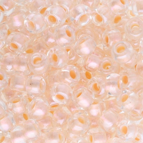 Seed beads Miyuki 6/0 4604 - Pearlized Effect Salmon x8g