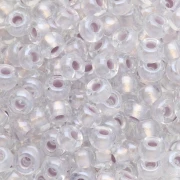 Seed beads Miyuki 6/0 4613 - Pearlized Effect Silver x8g
