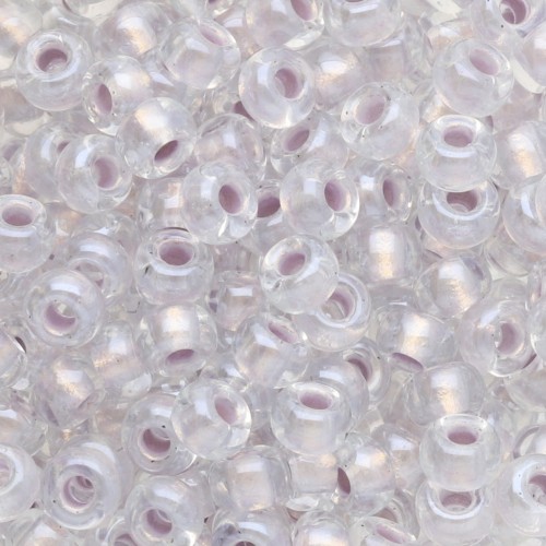Seed beads Miyuki 6/0 4613 - Pearlized Effect Silver x8g