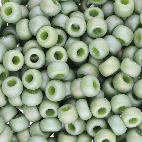 Seed beads Miyuki 6/0 4698 - Opaque Glazed Pistachio Mat AB x8g