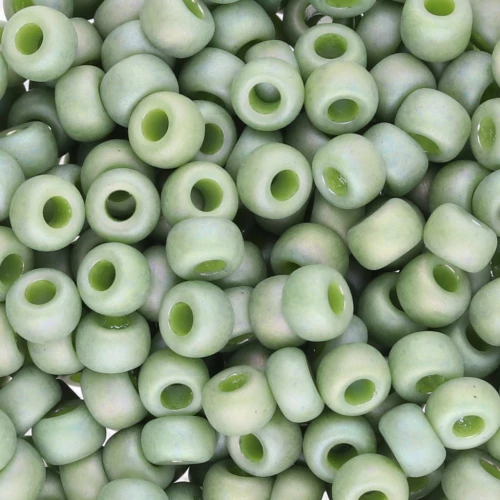 Seed beads Miyuki 6/0 4698 - Opaque Glazed Pistachio Mat AB x8g