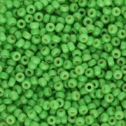 Seed beads Miyuki Duracoat 11/0 4476 - Dyed Opaque Fiji Green x8g