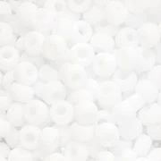 Seed beads Miyuki 6/0 402F - White Mat x8g