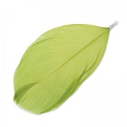 Feather 90 mm Peridot/rhodium x1|raw }}