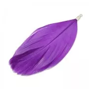 Feather 90 mm Plum/rhodium x1