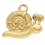 Snail charm 16x19 mm - 304 stainless steel, gold-plated x1