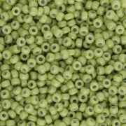 Seed beads Miyuki Duracoat 11/0 4473 - Dyed Opaque Fennel x8g