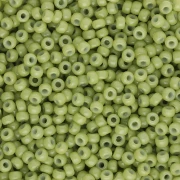 Seed beads Miyuki Duracoat 11/0 4473 - Dyed Opaque Fennel x8g