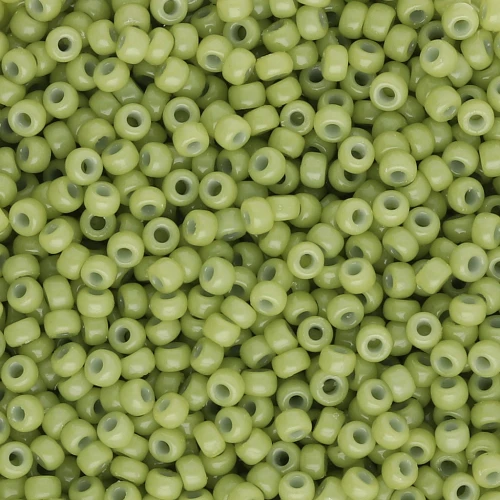 Seed beads Miyuki Duracoat 11/0 4473 - Dyed Opaque Fennel x8g