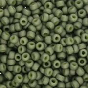 Rocaille Miyuki 8/0 2318 - Opaque Olive Mat x8g