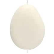 Flat irregular bead in opaque resin 22x17 mm - Ecru x1