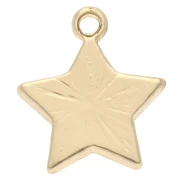 14x12 mm star charm with epoxy resin - Gold - Pearlescent white x1