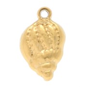 Shell Charm 10x6.5 mm - 304 Gold Stainless Steel x1
