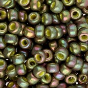 Rocaille Miyuki 6/0 1897 - Op Golden Olive Luster x8g