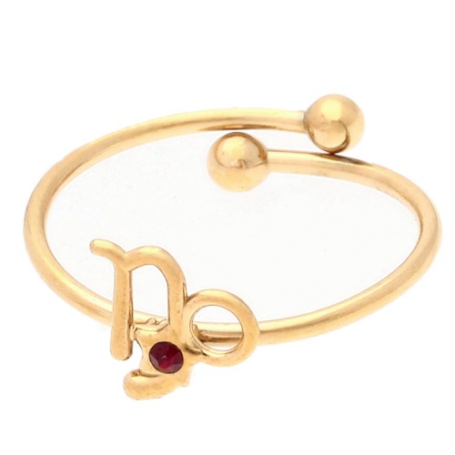 Adjustable ring zodiac sign - Capricorn - 304L Gold stainless steel - Red x1