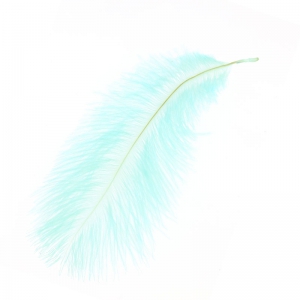 Ostrich feather 15-20cm Mint x1