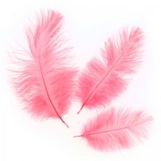 Ostrich feather 15-20cm Mint x1
