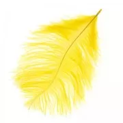 Ostrich feather 15-20cm Sunflower x1
