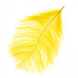 Ostrich feather 15-20cm Sunflower x1