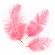 Ostrich feather 15-20cm Sunflower x1