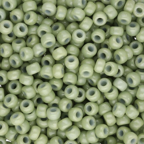 Rocaille Miyuki Duracoat 8/0 4473 - Dyed Opaque Fennel x8g
