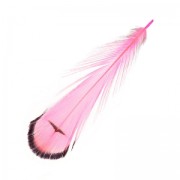 Striped Pheasant feather 6-11 cm Hot Pink x1