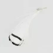 Striped Pheasant feather 6-11 cm White x1