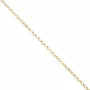 Double Round Cable chain link chain 1.6mm Gold filled x 50cm