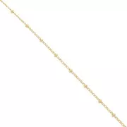 Gourmette Beaded chain 2mm Gold filled x 50cm