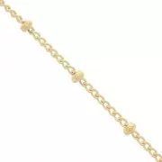 Gourmette Beaded chain 2mm Gold filled x 50cm