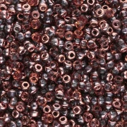 Rocaille Miyuki 11/0 55007 - Crystal Capri Gold x8g