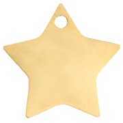 Star Charm 12x13 mm - 304 Gold Stainless Steel x1