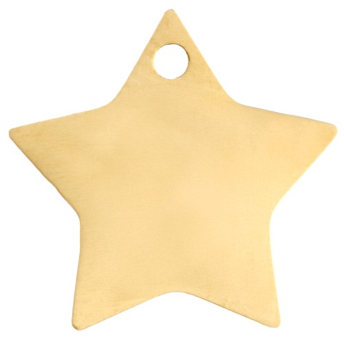 Star Charm 12x13 mm - 304 Gold Stainless Steel x1
