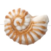 Ceramic shell bead snail 21x16 mm - White - Gold x1