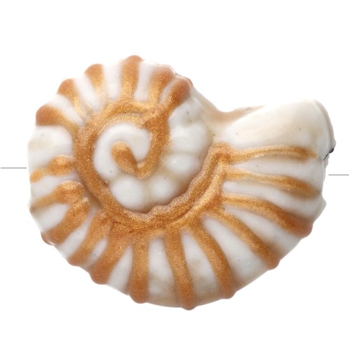 Ceramic shell bead snail 21x16 mm - White - Gold x1