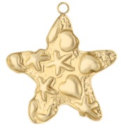 Starfish pendant 28x26 mm with shell motif - 304 Gold stainless steel x1
