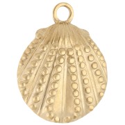 Textured Shell Pendant 29x23 mm - 304 Gold Stainless Steel x1|raw }}