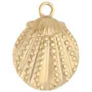 Textured Shell Pendant 29x23 mm - 304 Gold Stainless Steel x1