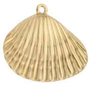 Shell pendant 26x28 mm - 304 Gold stainless steel x1
