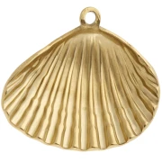 Shell pendant 26x28 mm - 304 Gold stainless steel x1