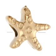Starfish beads 7x8 mm - 304 Stainless steel Gold x4