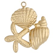 Starfish and shell pendant 22x20 mm - 304 stainless steel, gold-plated x1