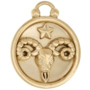Reversible round charm 17 mm zodiac sign Aries - Stainless steel 304 Gilded x1|raw }}