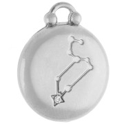 Round reversible charm 17 mm sign of the zodiac Leo - Stainless steel 304 x1