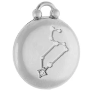 Round reversible charm 17 mm sign of the zodiac Leo - Stainless steel 304 x1