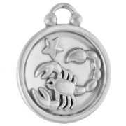 Round reversible charm 17 mm Scorpio zodiac sign - 304 stainless steel x1|raw }}